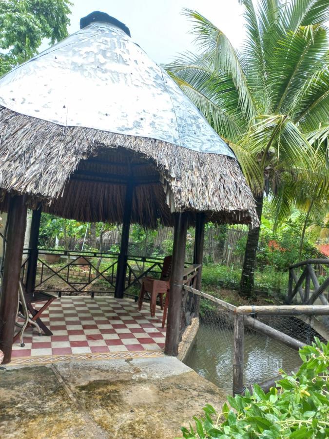 Ngoc Phuong Homestay Vinh Long Luaran gambar