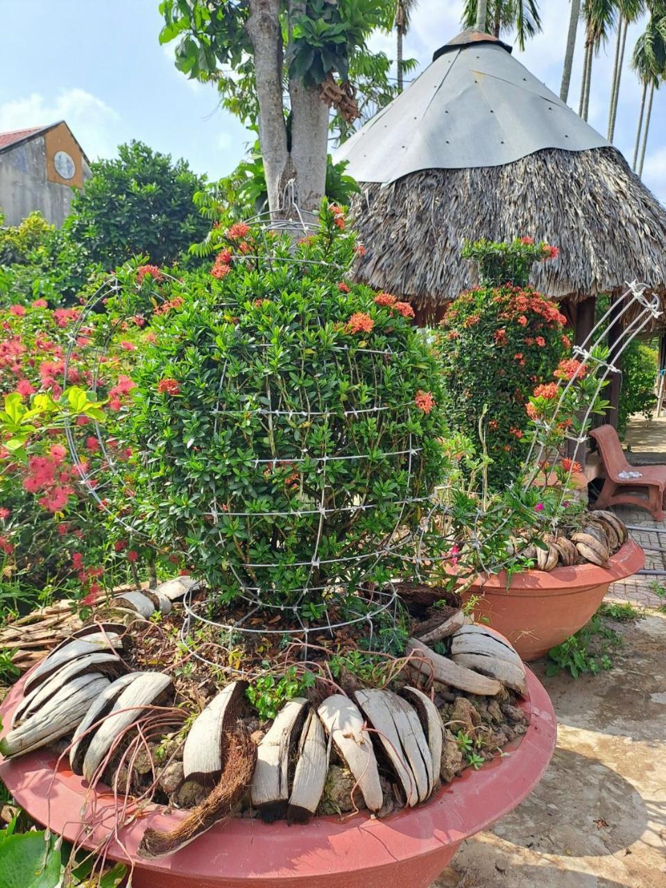 Ngoc Phuong Homestay Vinh Long Luaran gambar