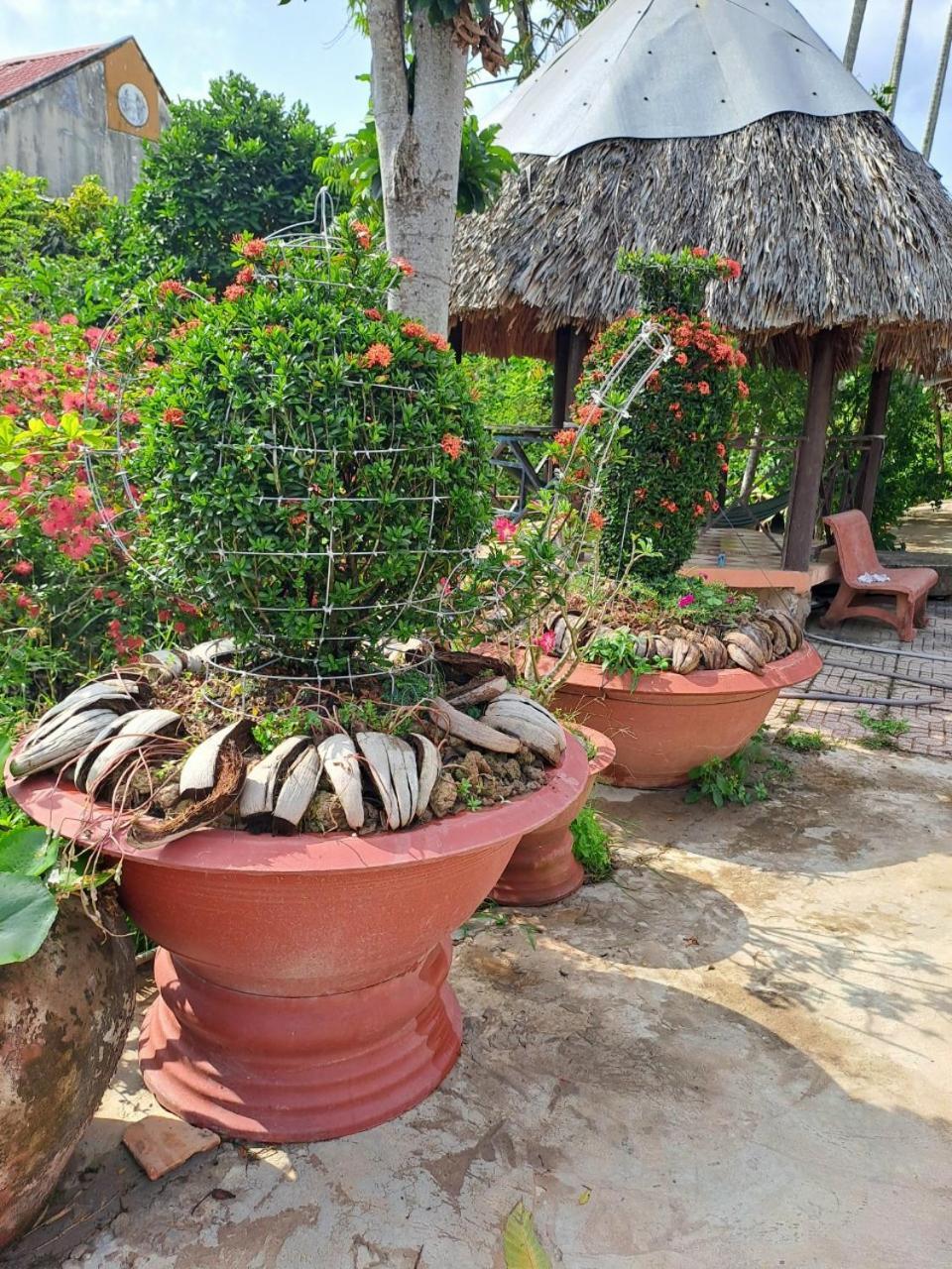 Ngoc Phuong Homestay Vinh Long Luaran gambar