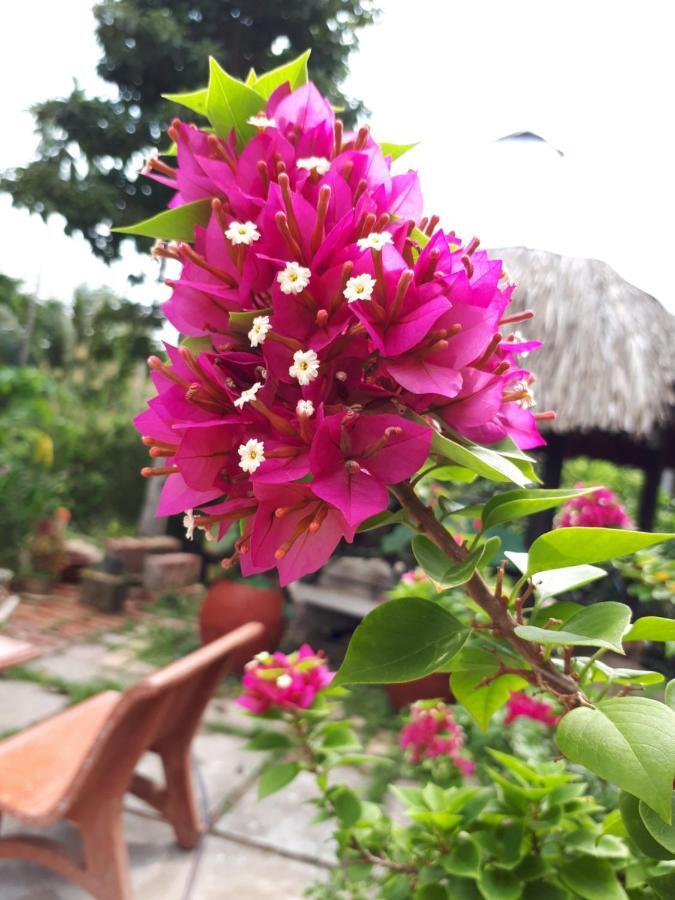 Ngoc Phuong Homestay Vinh Long Luaran gambar
